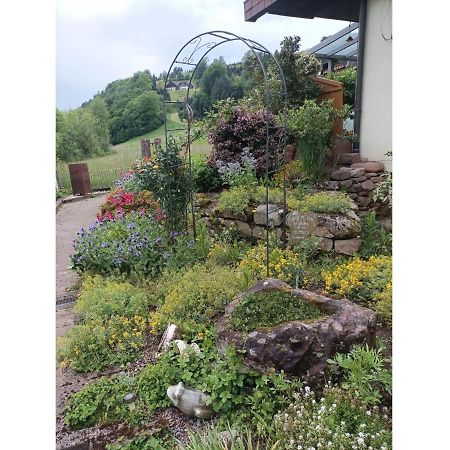 Ferienwohnung Wiesenblick Oberharmersbach Ngoại thất bức ảnh